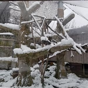 Pittsburgh Zoo - Clouded leopard outdoor area
