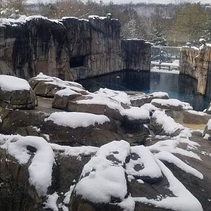 Pittsburgh Zoo - Upper view of polar bear yard