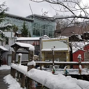 Pittsburgh Zoo - Pier town with aquarium above