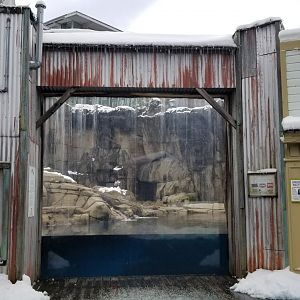 Pittsburgh Zoo - Polar bear window