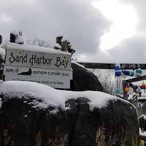 Pittsburgh Zoo - Elephant seal area