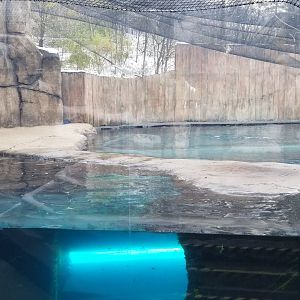Pittsburgh Zoo - Elephant seal exhibit