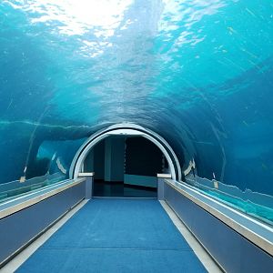 Pittsburgh Zoo - Elephant seal tunnel