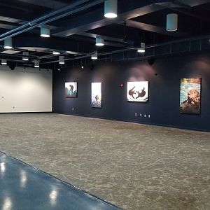 Pittsburgh Zoo - Odd area next to sea otter viewing