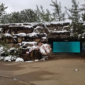 Pittsburgh Zoo - CA sea lion underwater window