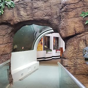 Pittsburgh Zoo - Fish tunnel in entrance to Worlds of Discovery