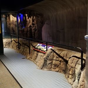 Pittsburgh Zoo - Bats