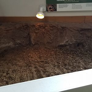 Pittsburgh Zoo - Empty yellow-footed tortoise area