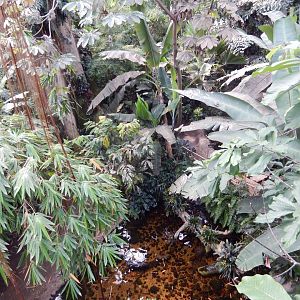 9/14/2020 - General View of Lied Jungle