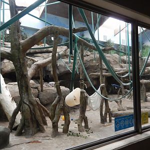 9/14/2020 - Indoor Primate Exhibit