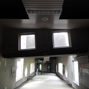 9/14/2020 - Gorilla Overhead Half-Tunnel