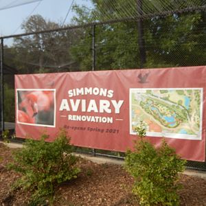 9/14/2020 - Simmons Aviary Renovation Banner (Opening in 2021)