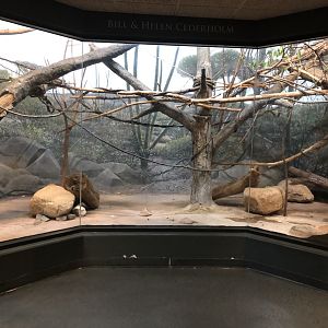 9/13/2020 - Lemur Exhibit