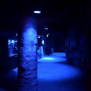 9/14/2020 - Terrarium Hall