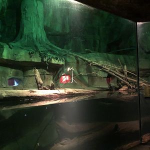 9/14/2020 - Australian Reptile Habitat