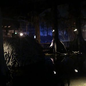 9/14/2020 - General View of The Swamp