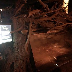 9/14/2020 - Beaver Lodge