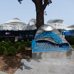 9/14/2020 - Scott Aquarium Sign