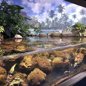 9/14/2020 - Mangrove Pool