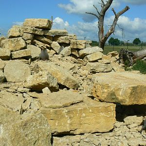 Le Pal - Hamadryas baboons exhibit