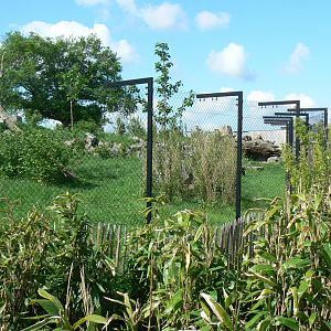 Le Pal - Mandrills exhibit