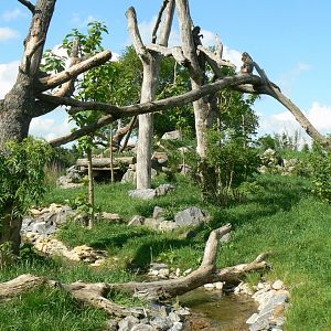 Le Pal - Mandrills exhibit