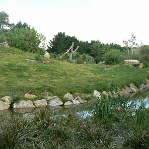 Le Pal - Gelada baboons island
