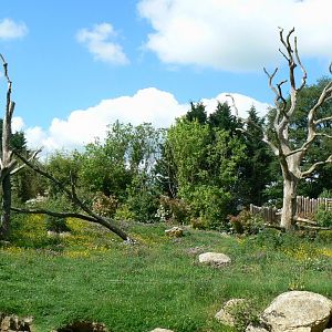 Le Pal - Gelada baboons island