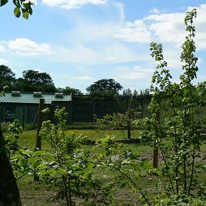 Le Pal - Gelada baboons off-show enclosure and building