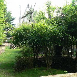 Le Pal - Red pandas enclosure