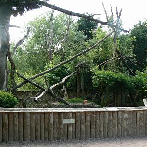 Le Pal - Red pandas enclosure