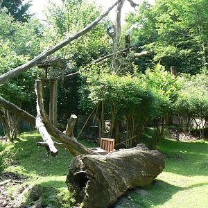 Le Pal - Red pandas enclosure