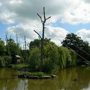 Le Pal - White-handed gibbons island