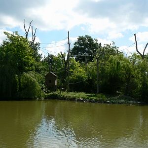 Le Pal - White-handed gibbons island