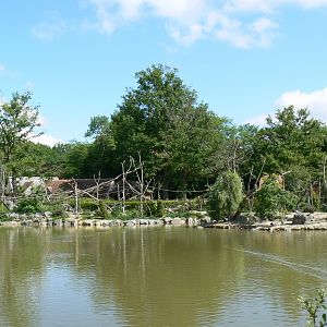 Le Pal - Common squirrel monkeys and yellow-breasted capuchins island