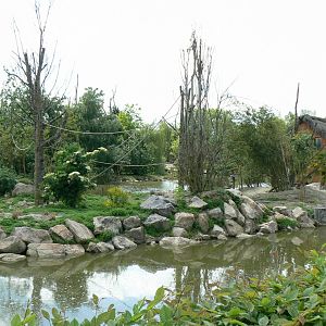 Le Pal - Ring-tailed and mongoz lemurs island