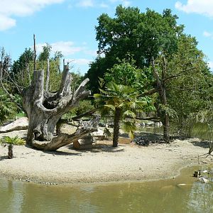 Le Pal - Ring-tailed and mongoz lemurs island
