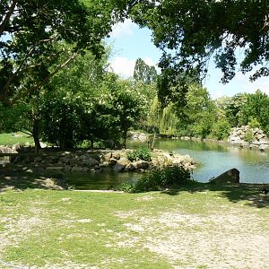 Le Pal - Black swans, bar-headed gooses and blackbucks enclosure