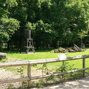 Le Pal - Red-necked wallabys exhibit
