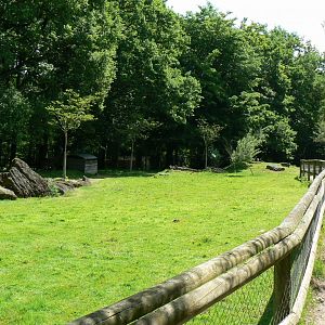 Le Pal - Red-necked wallabys exhibit