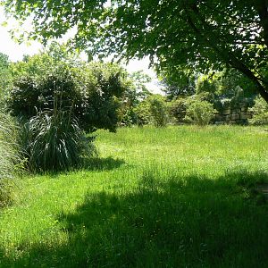Le Pal - Painted dogs enclosure