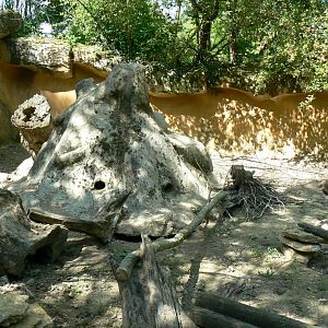 Le Pal - Meerkats enclosure