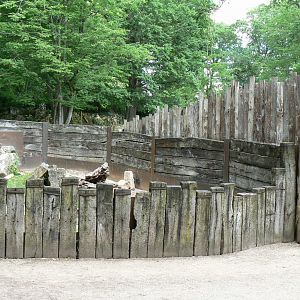 Le Pal - Crested porcupines enclosure
