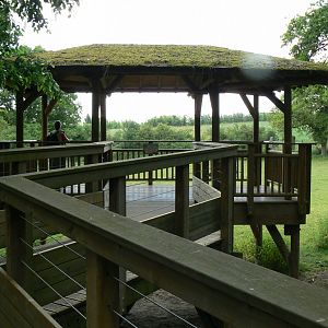 Le Pal - African plain viewing plateform