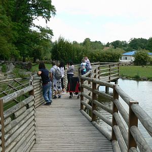 Le Pal - Patheway with red river hogs on the left and nyalas on the right