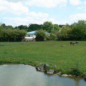 Le Pal - Lowland nyalas, white storks and ostriches exhibit