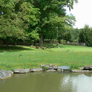 Le Pal - Lowland nyalas,  white storks and ostriches exhibit