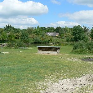 Le Pal - South american plain for tapirs, maras and capybaras