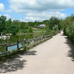 Le Pal - Pelicans pond