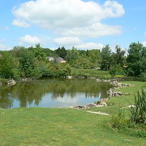 Le Pal - South american plain exhibit